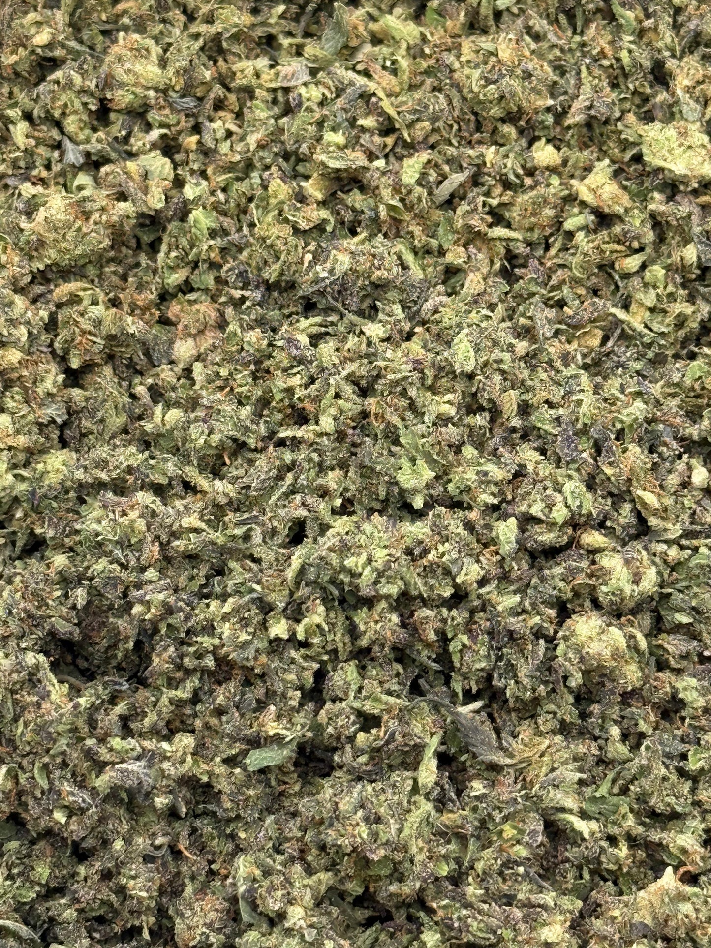 Blueberry Gelato #194 Shake