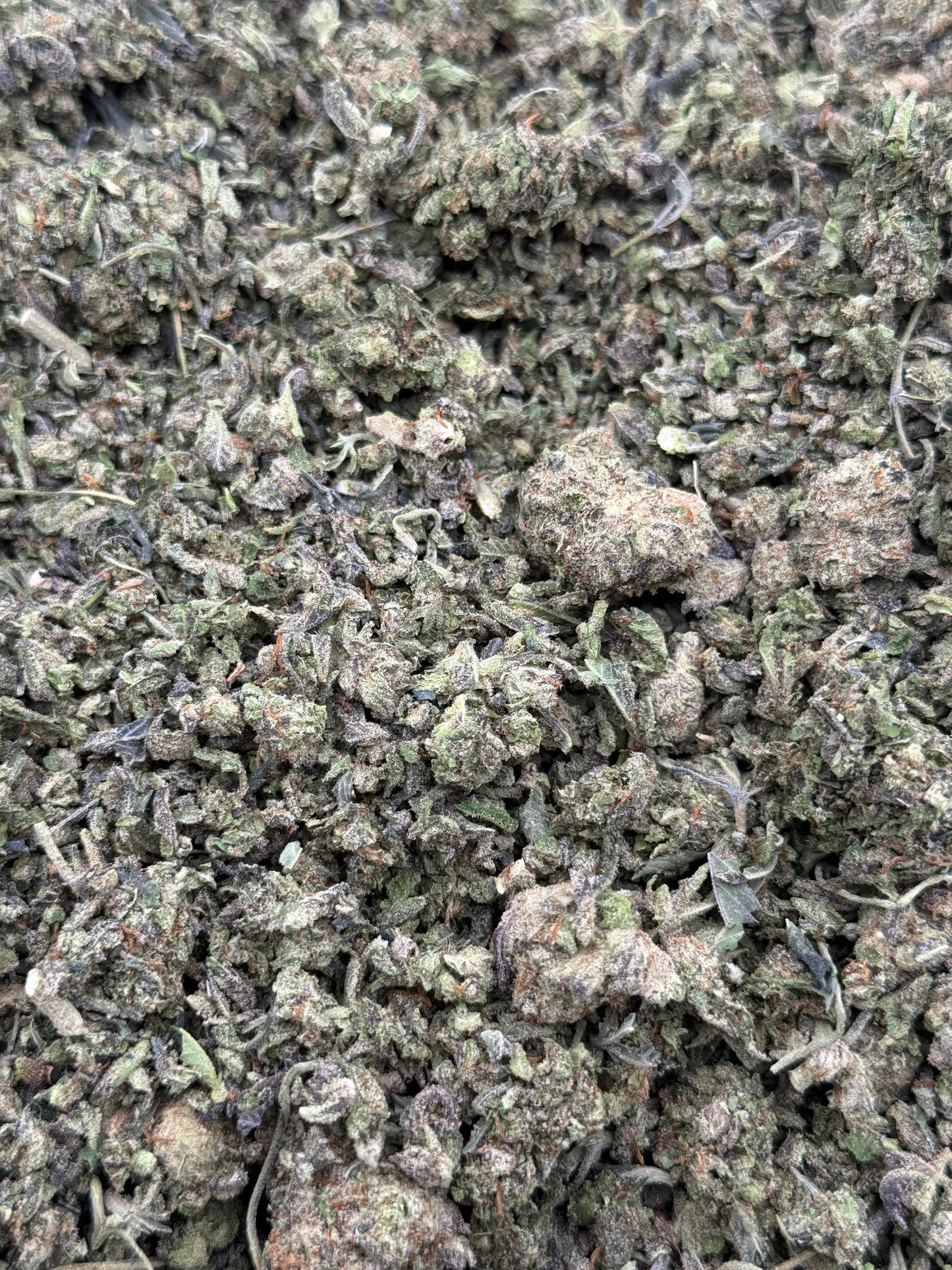 Bubba Mania Shake #65