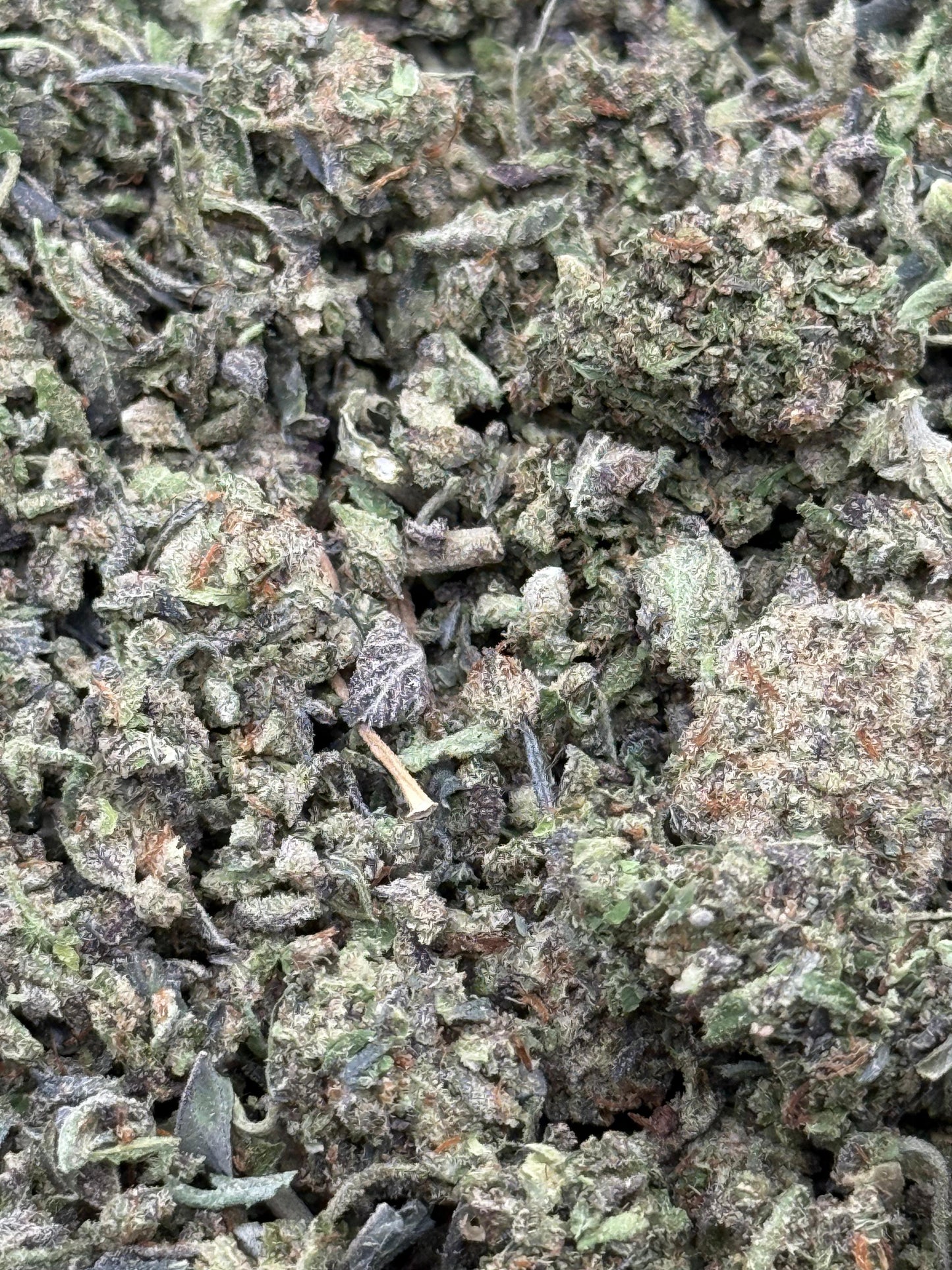 Bubba Mania Shake #65