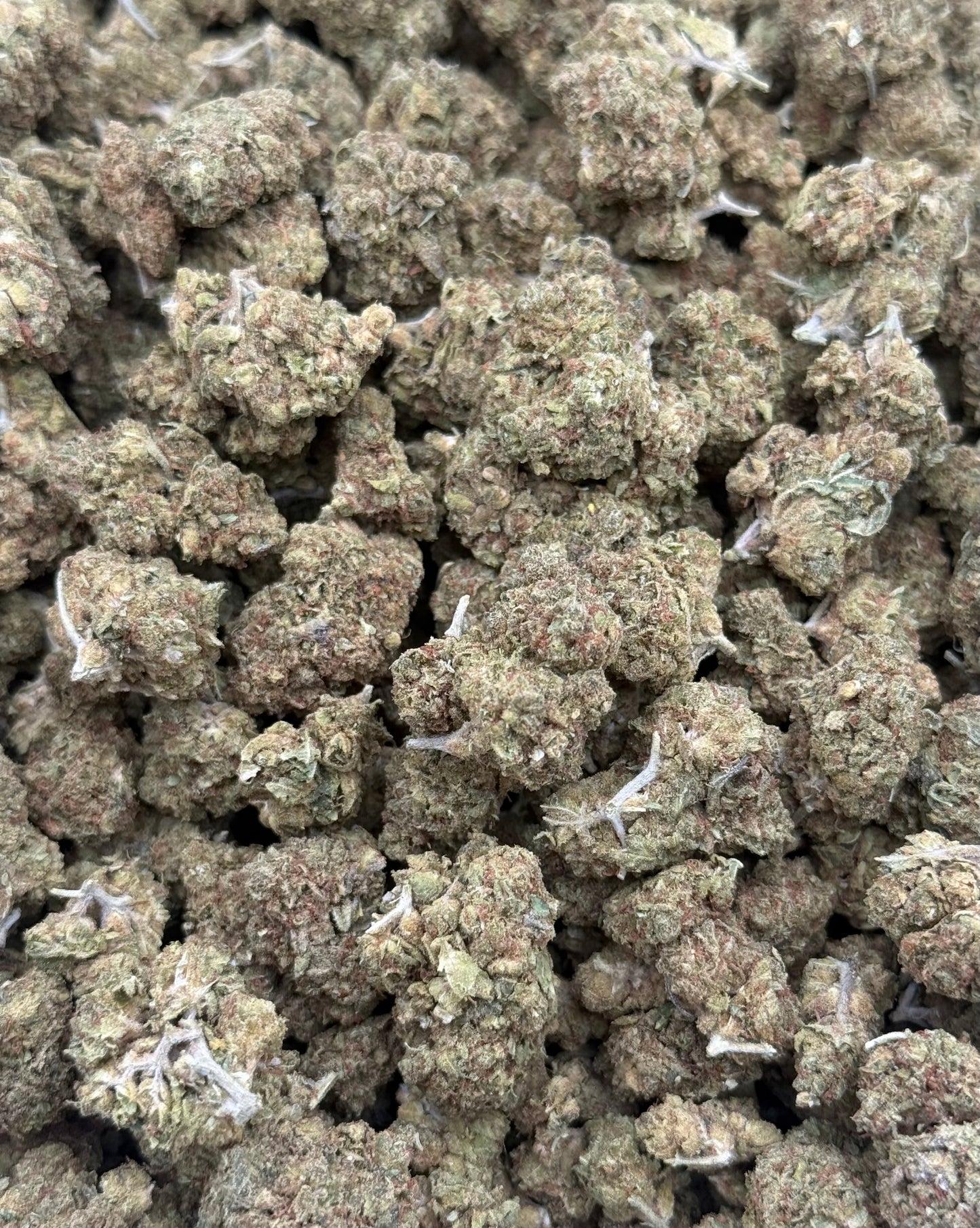 Cali Kush #294