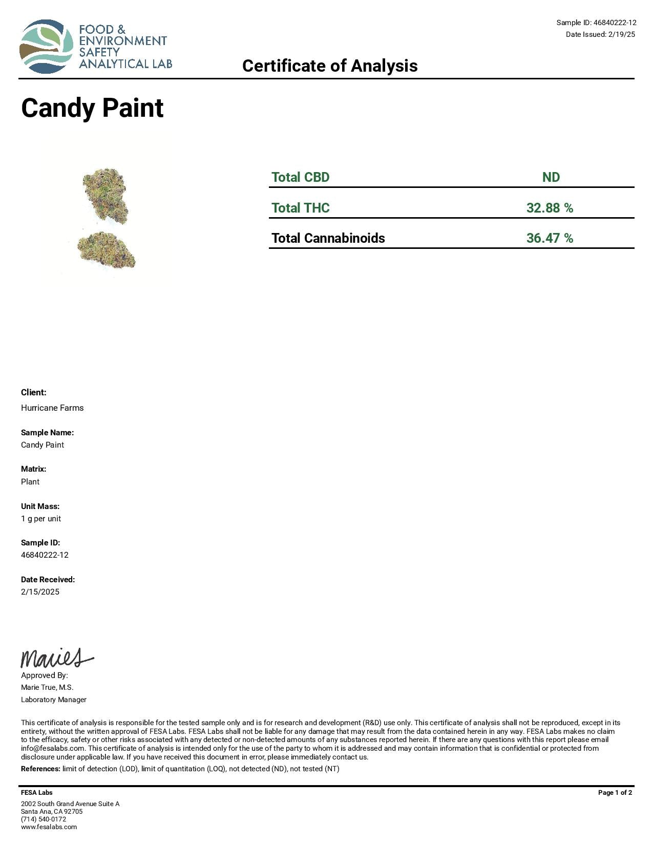 Candy Paint