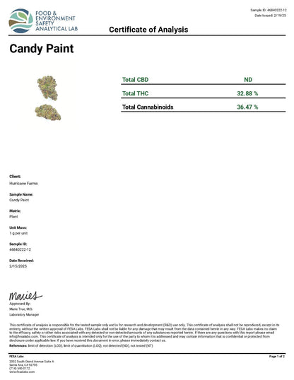 Candy Paint
