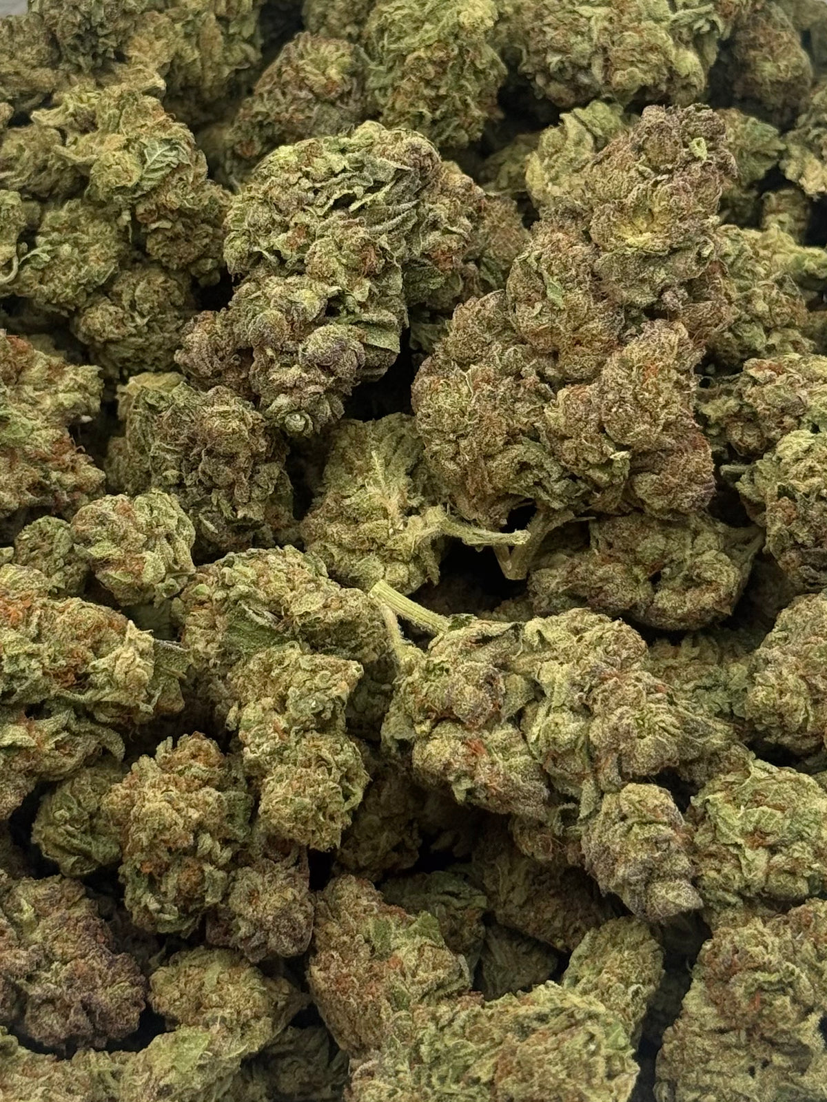 Candyland #508 | 1/2 lb