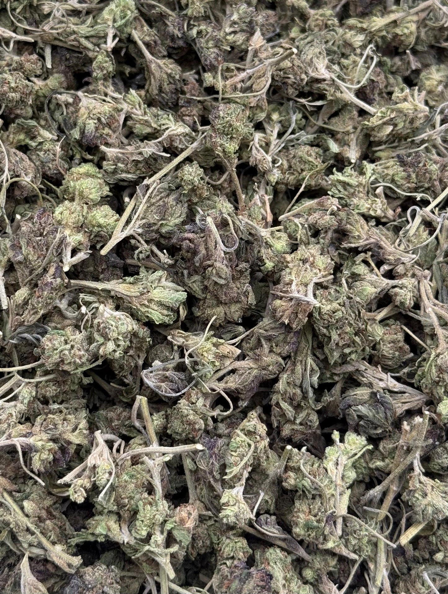 Cheese N Grapes Shake #122