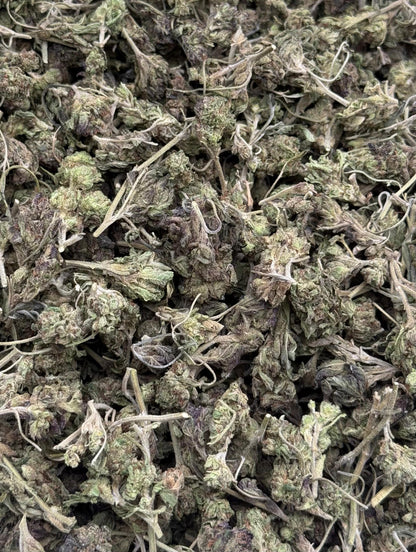 Cheese N Grapes Shake #122