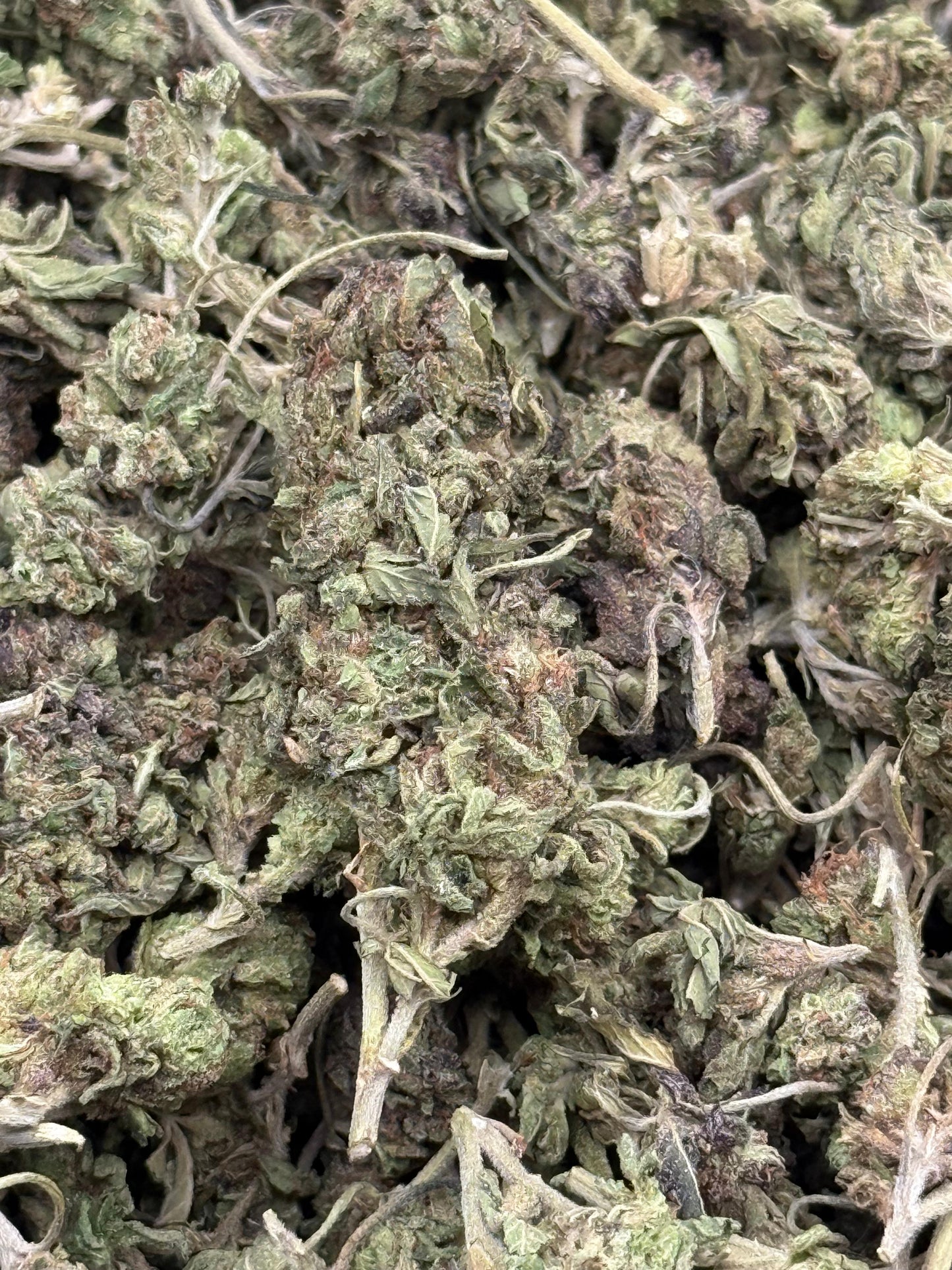 Cheese N Grapes Shake #122