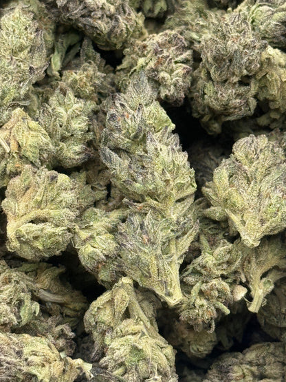 Cheetah Breath #164