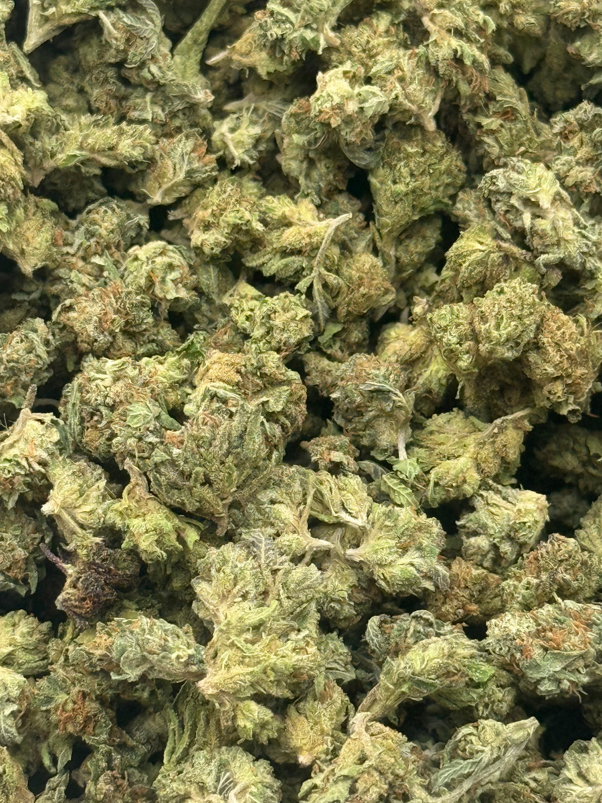 Cherries N Berries #510