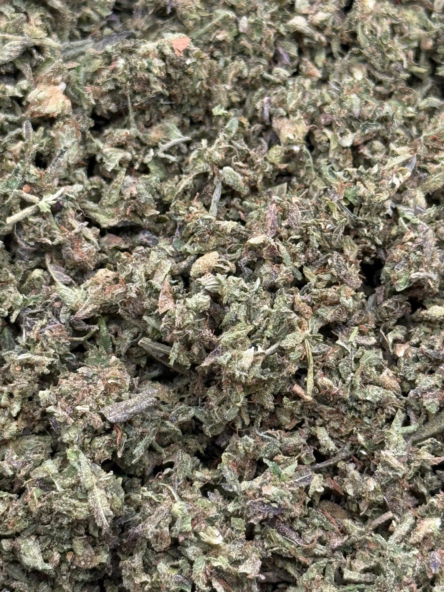 Cherry Mimosa #200 Shake