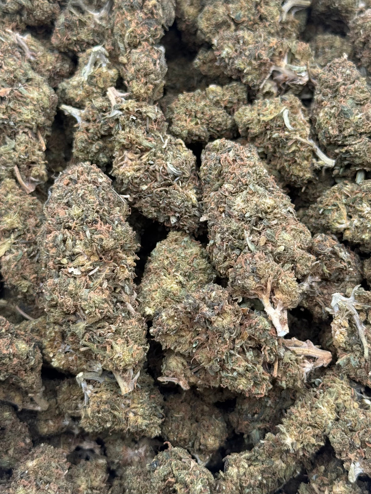 Cherry Soda #429 1/2 lb