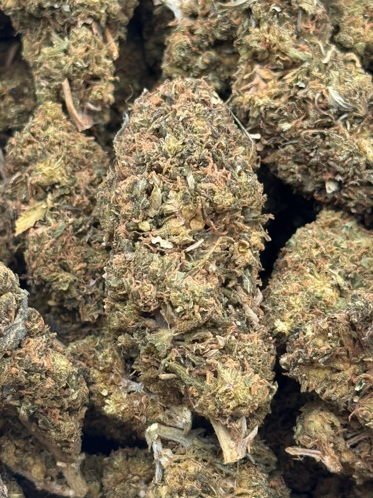Cherry Soda #429 1/2 lb