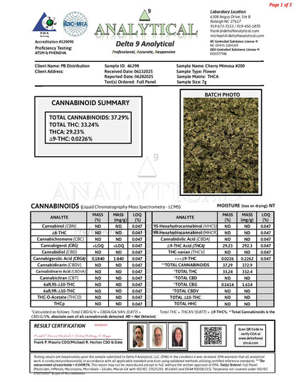 Cherry Mimosa #200 Shake