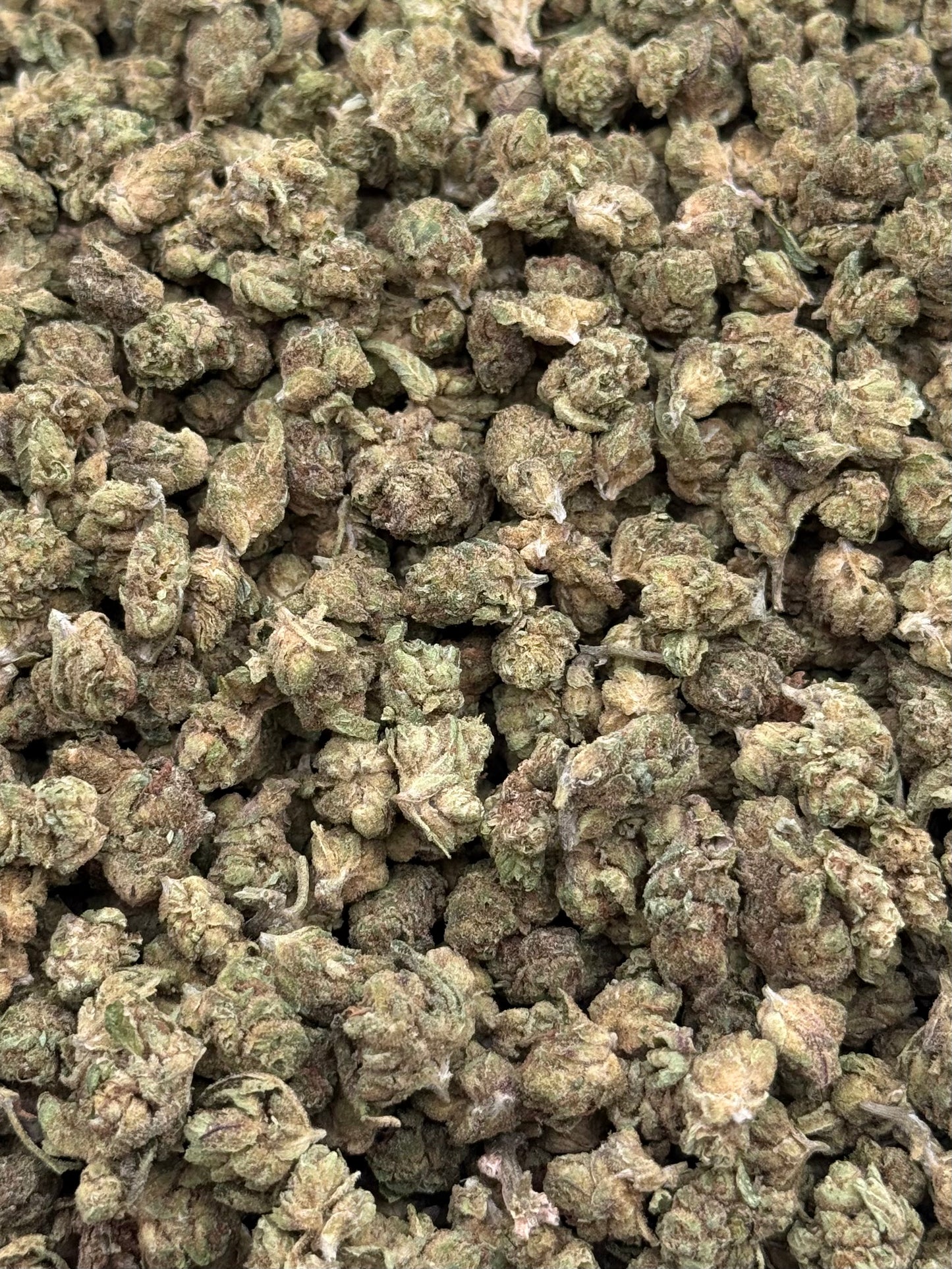 Chiquita Limon #266