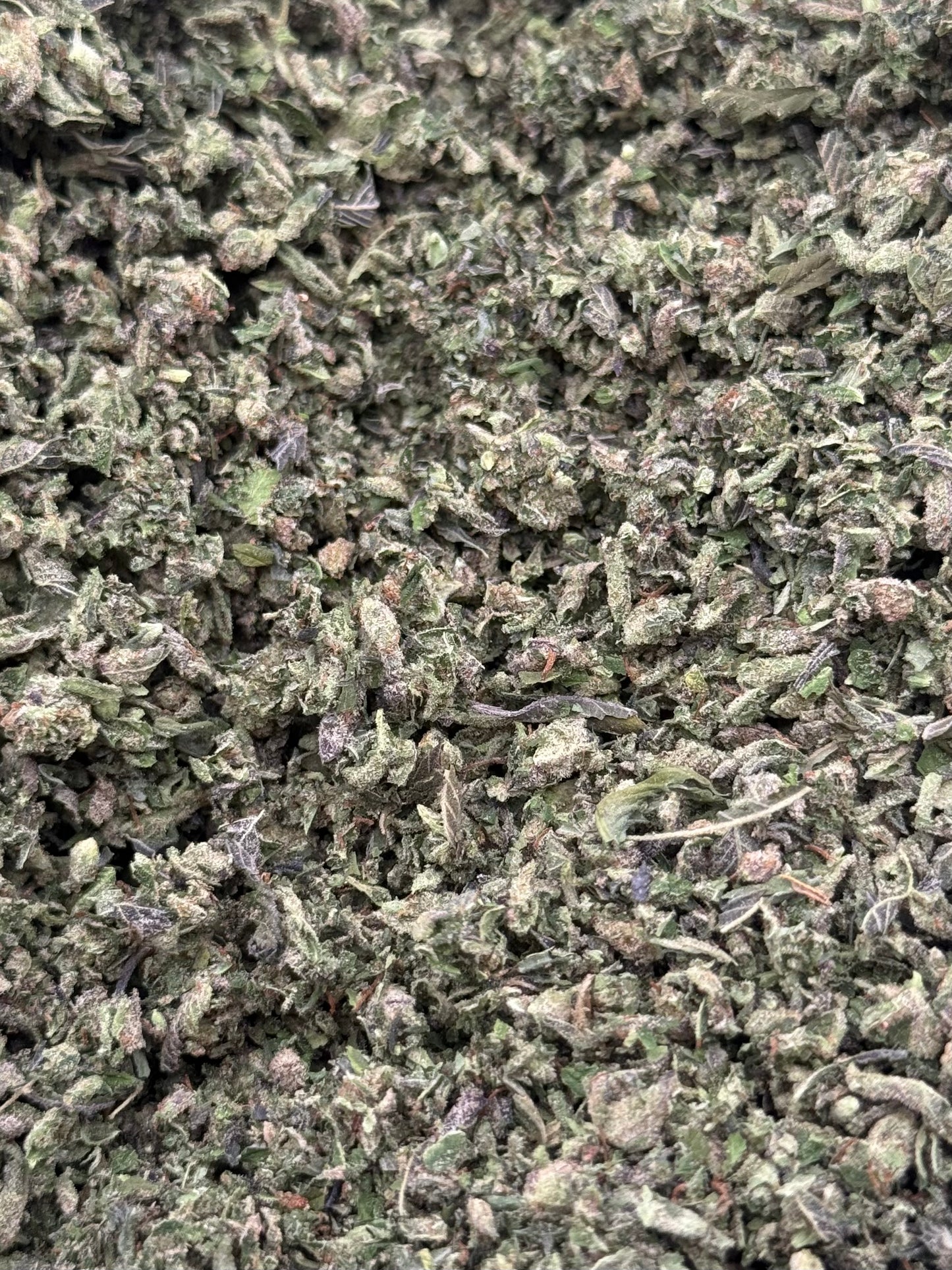 Cookie Monster #358 Shake