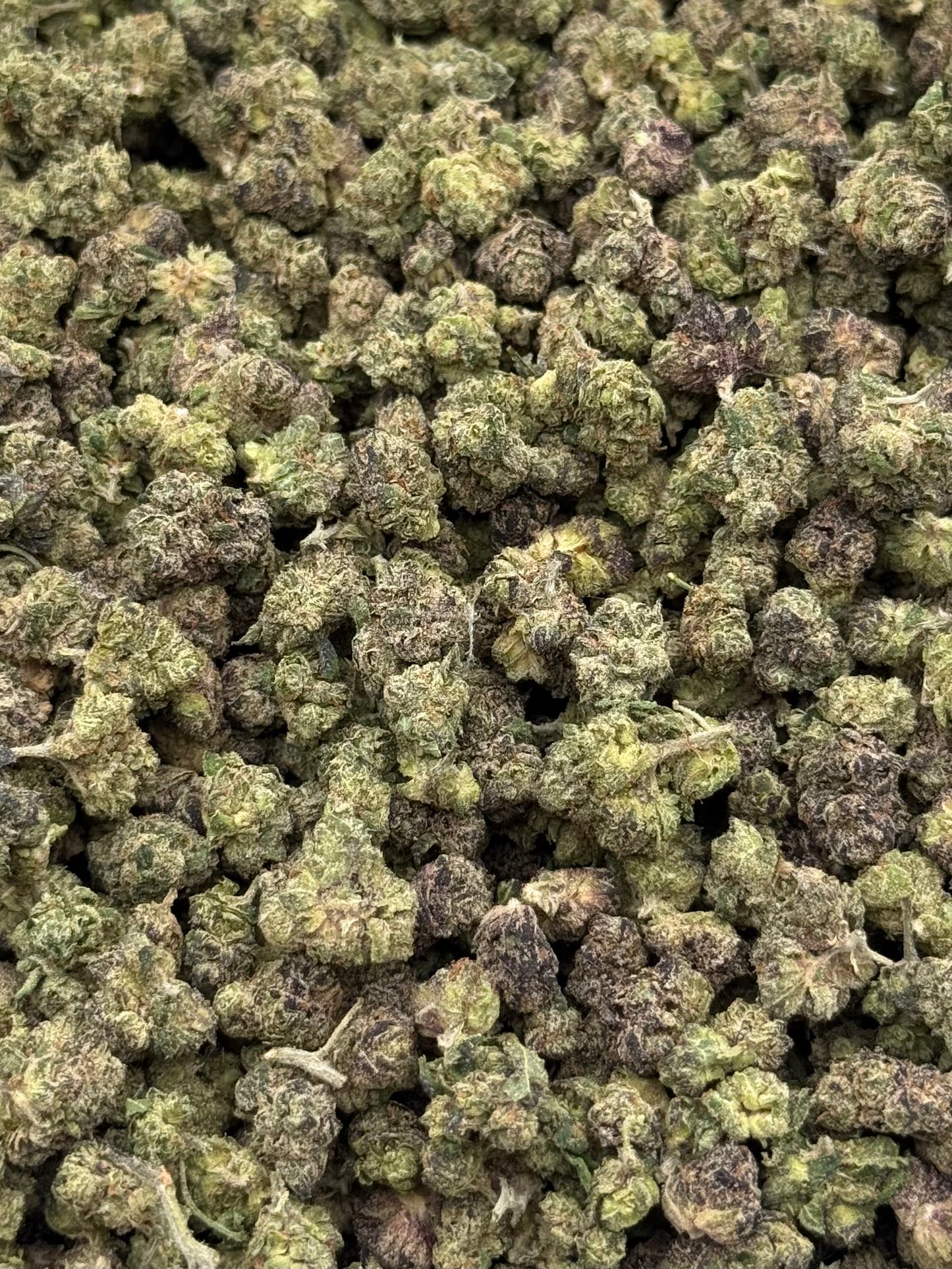 Cookie Monster #397 | QP