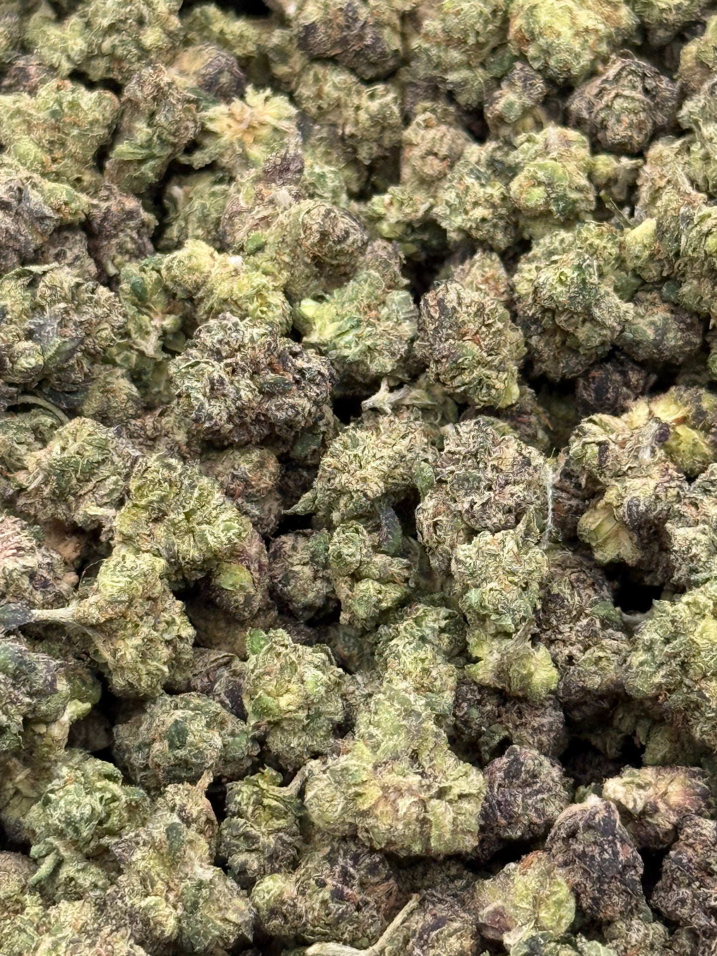 Cookie Monster #397 | QP