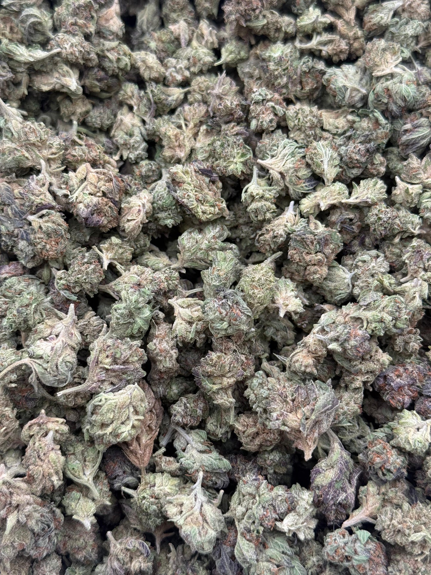 Cotton Candy #205