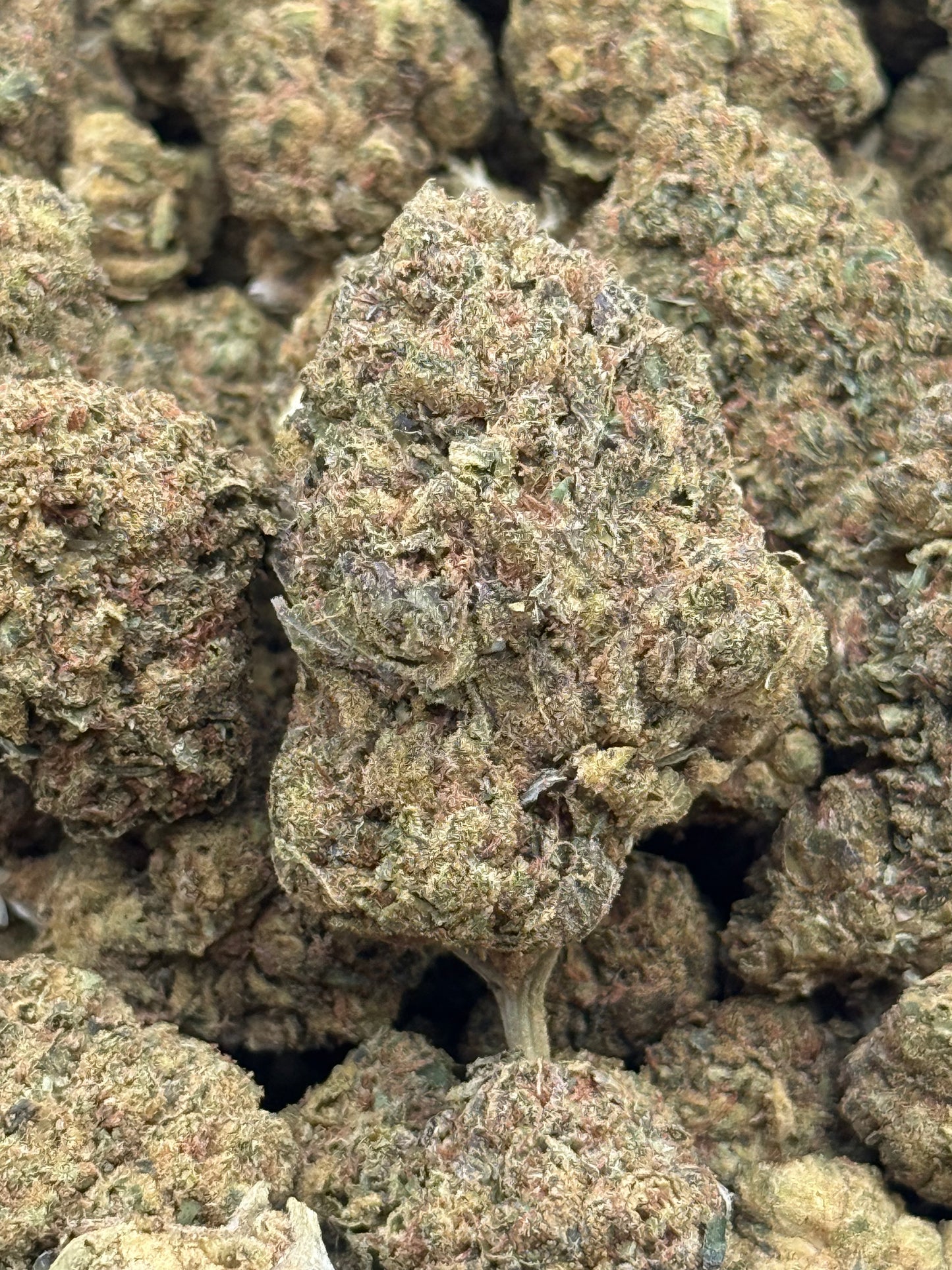 Cotton Candy #288 | 1/2 lb
