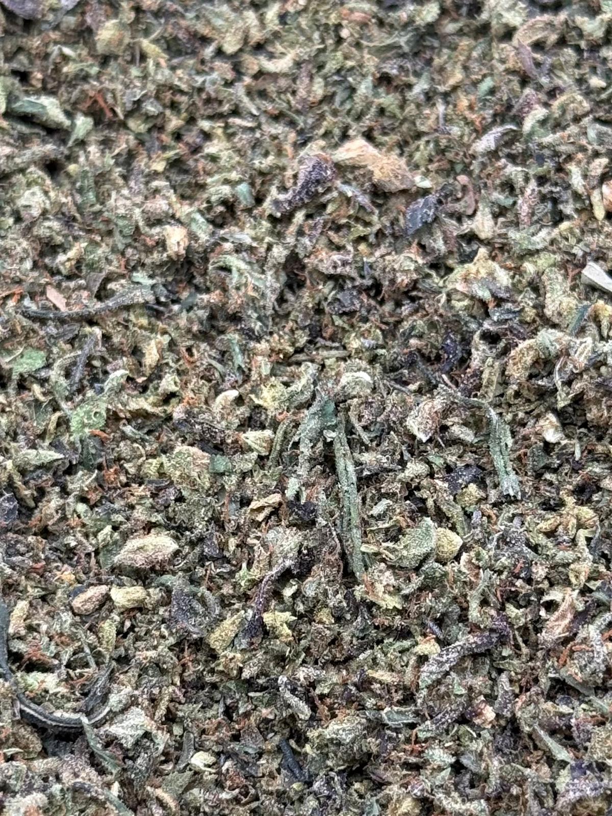 Couch Lock #196 Shake