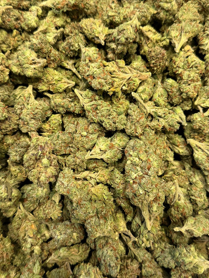 Crazy Horse #553
