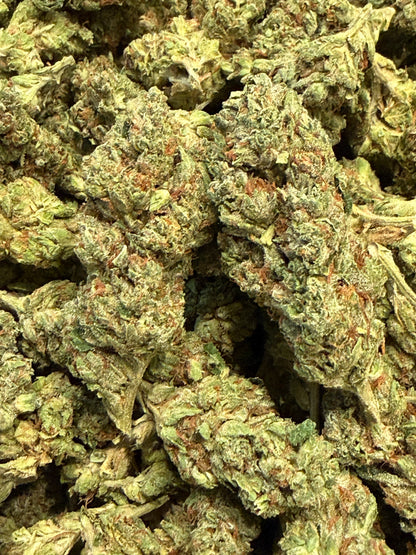 Crazy Horse #553
