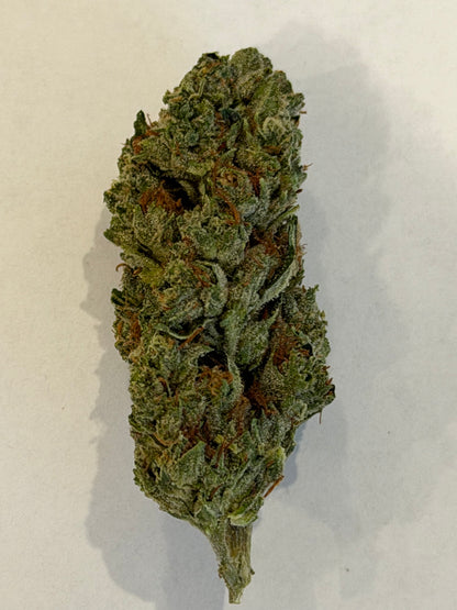 Crazy Horse #553