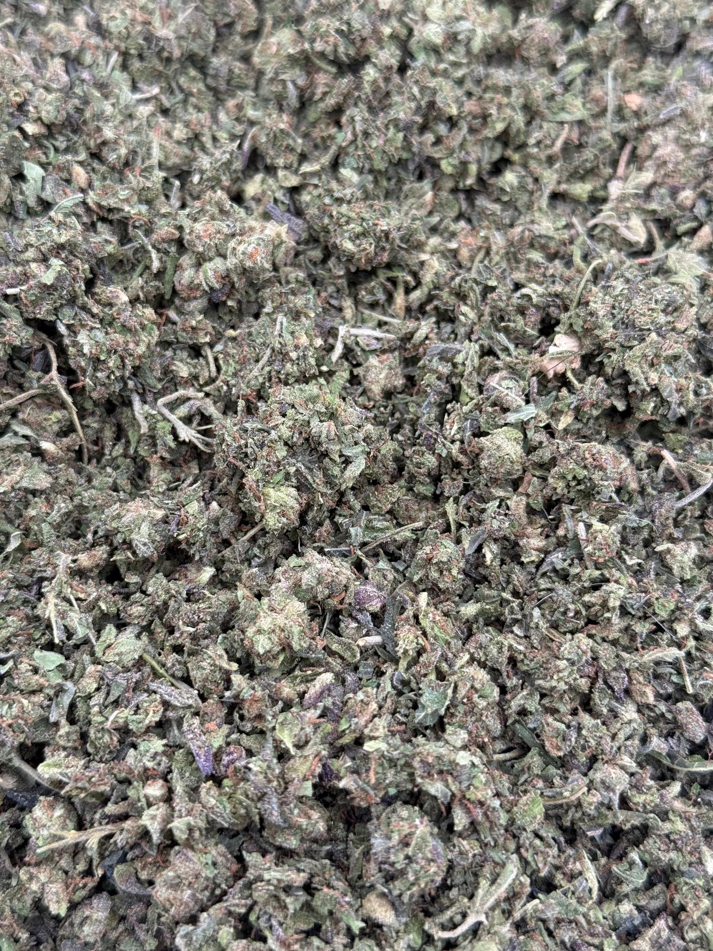 Durban Poison Shake #62