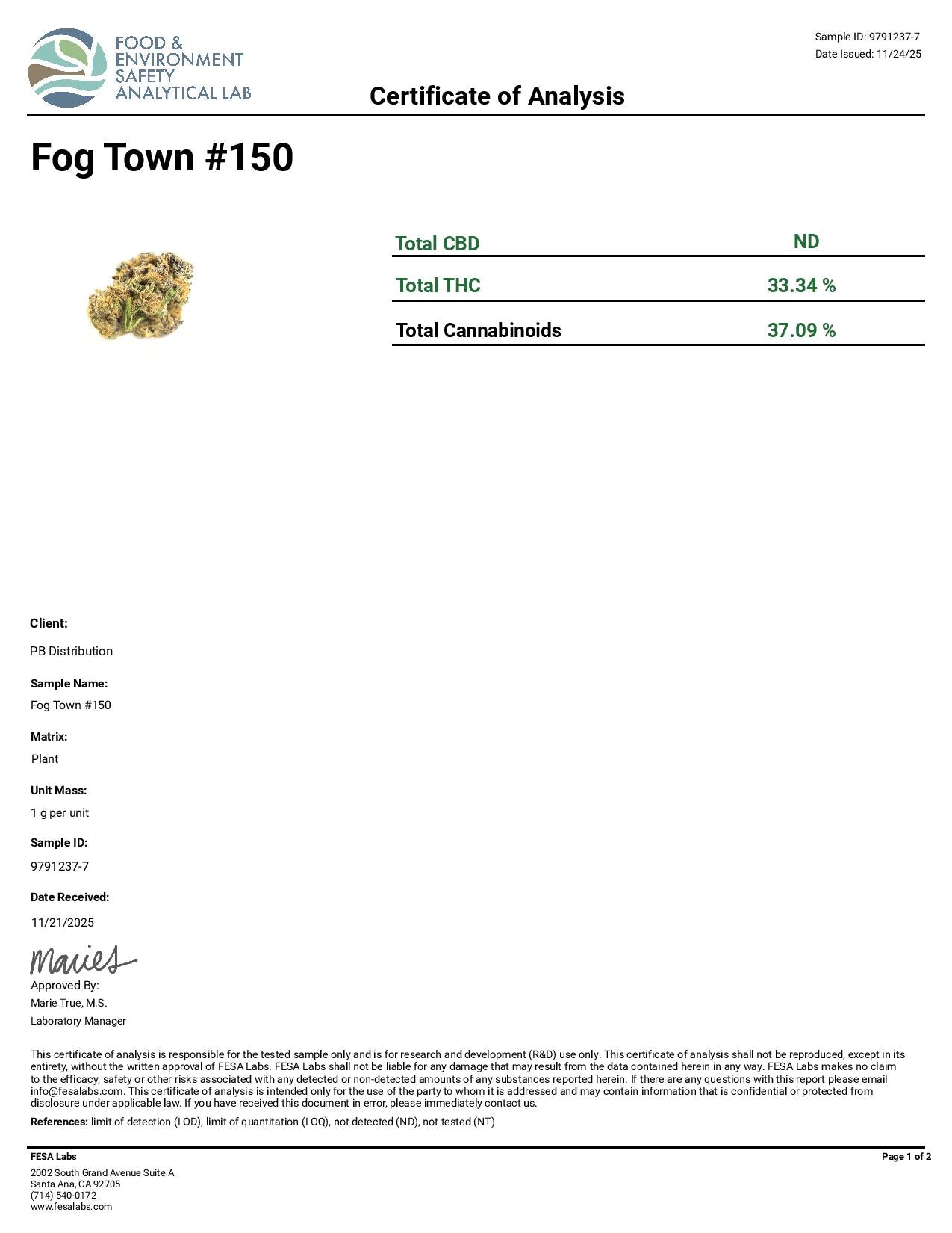 Fog Town #150