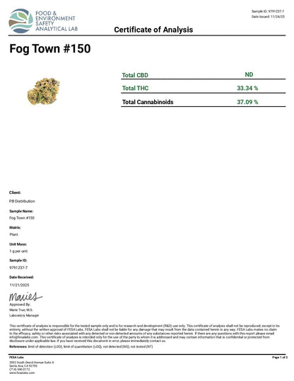 Fog Town #150
