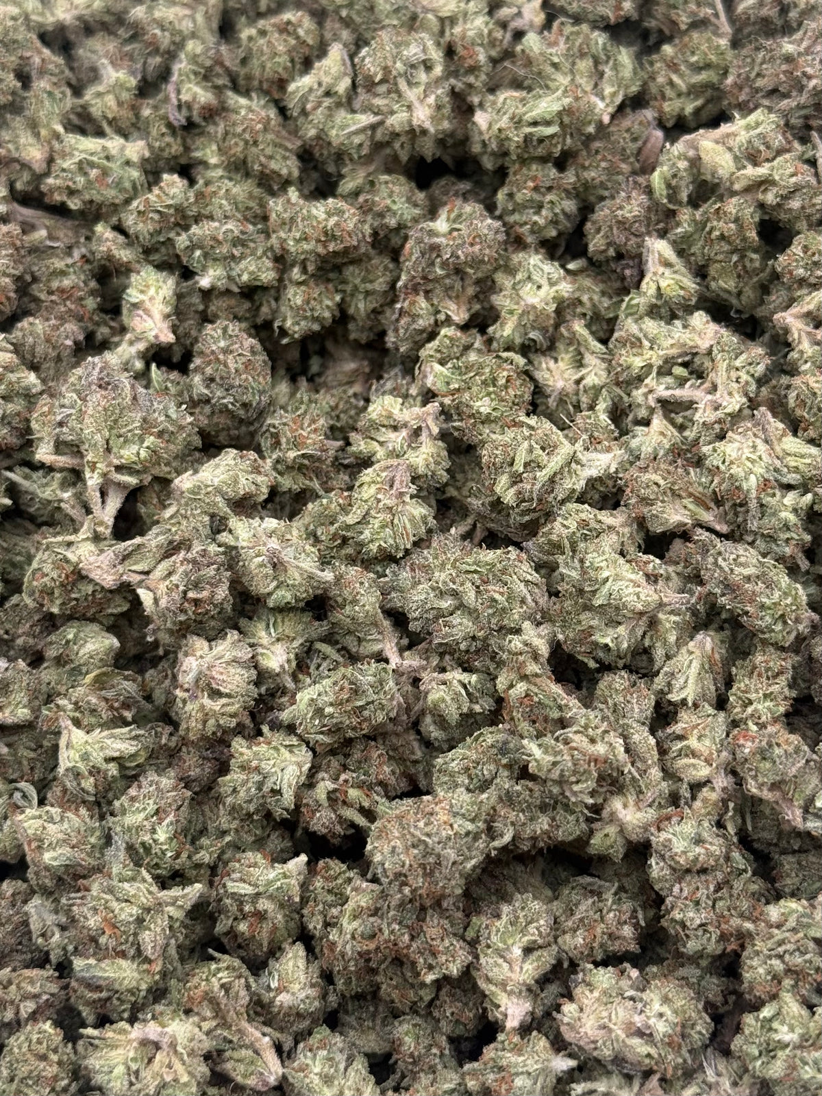 Fruity Pebbles #503