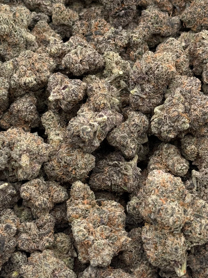 GX5 #280 | QP