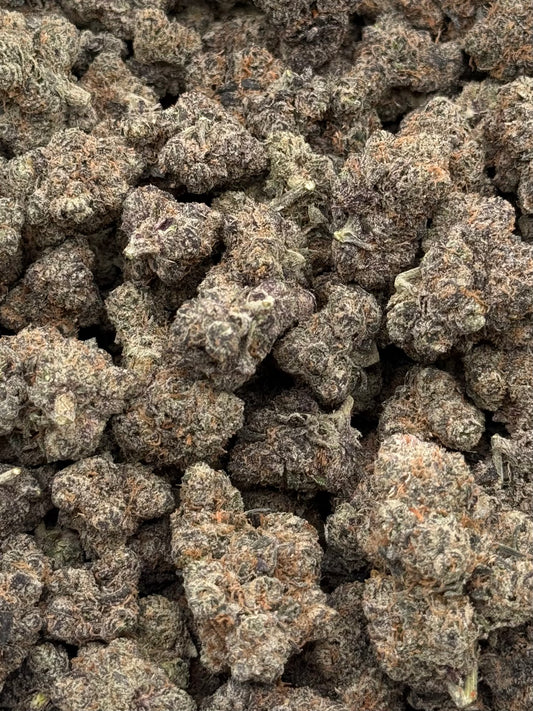 GX5 #280 | QP