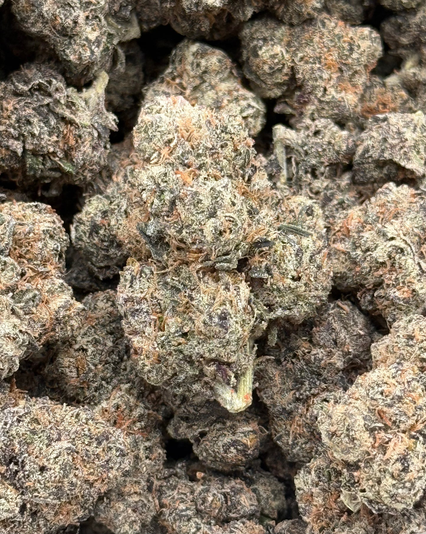 GX5 #280 | QP
