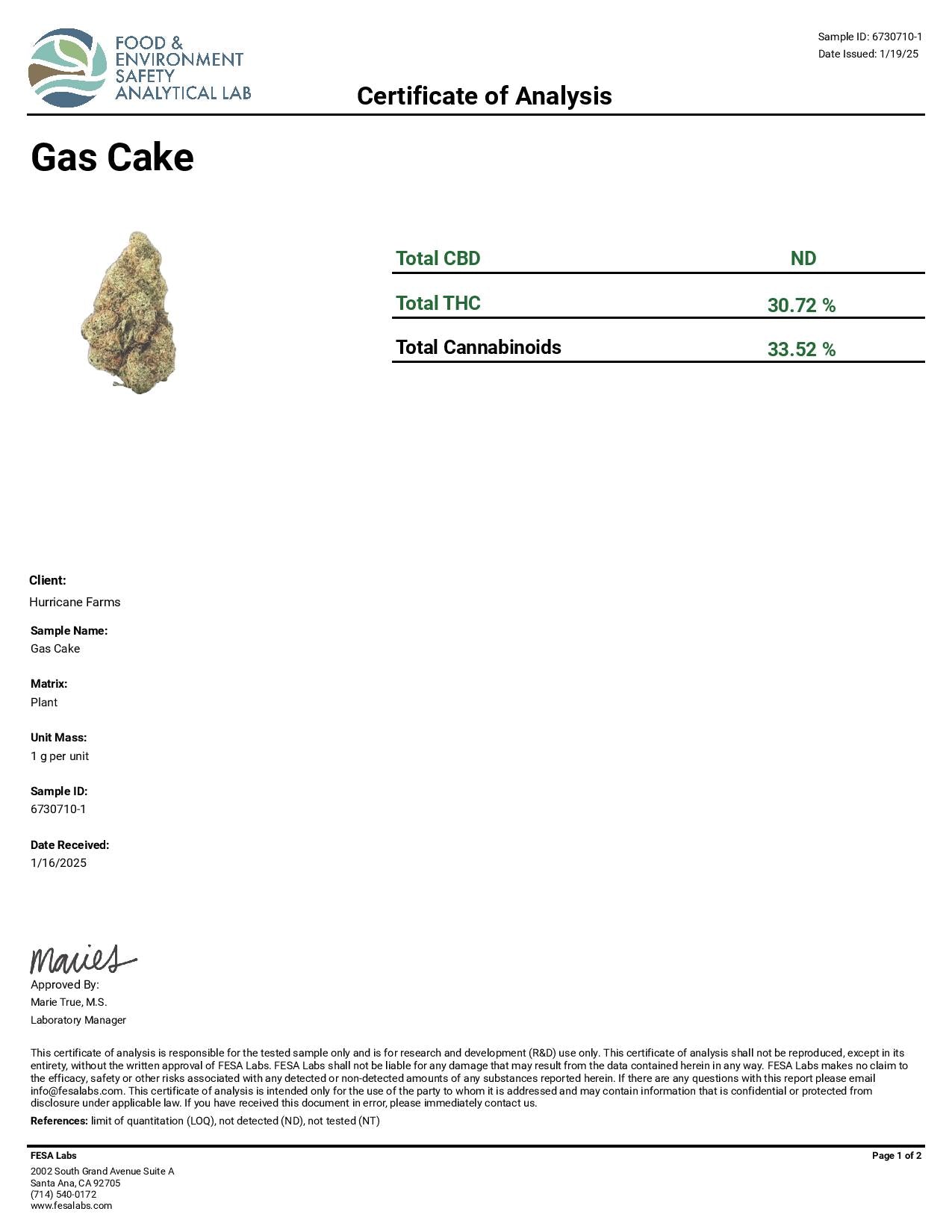 Gas Cake Shake