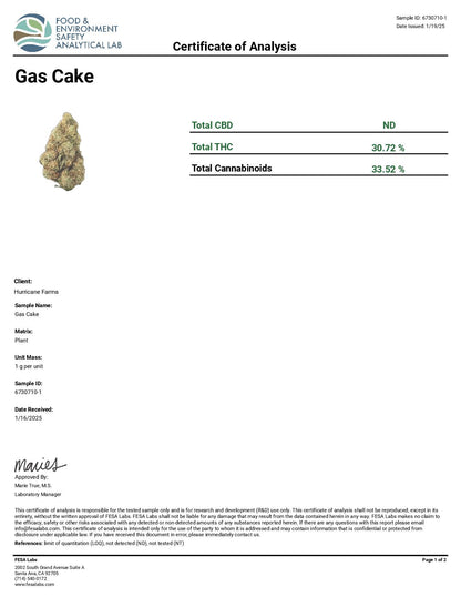 Gas Cake Shake