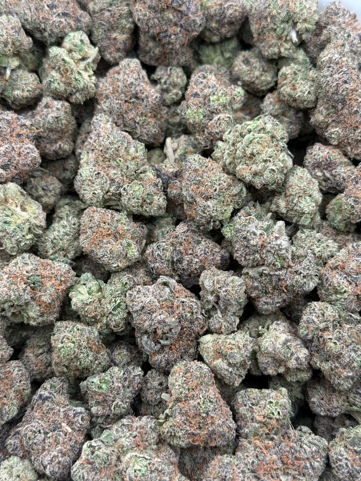 Gator Breath #269 | QP