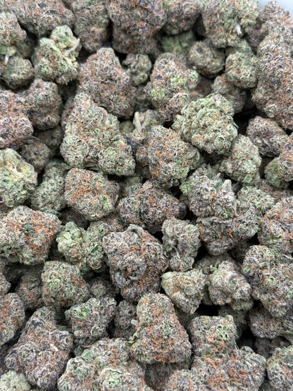 Gator Breath #269 | QP