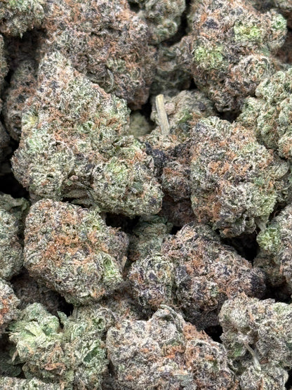 Gator Breath #269 | QP