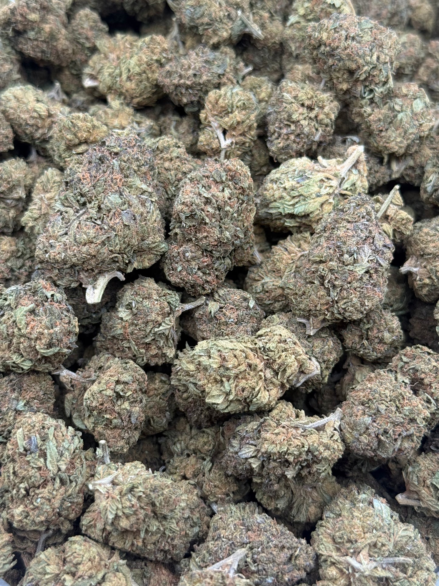 Gelato Cream #291 | 1/2 lb