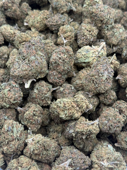 Gelato Cream #291 | 1/2 lb