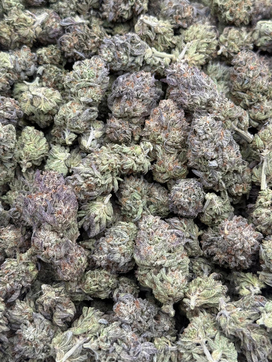 Gelato King #166