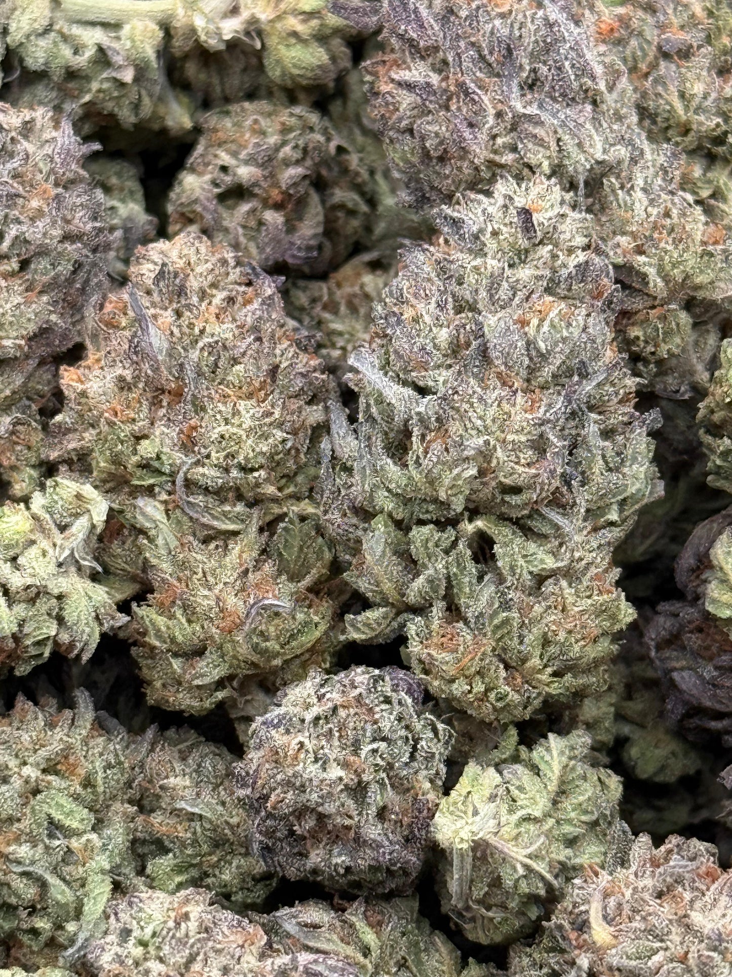Gelato King #166