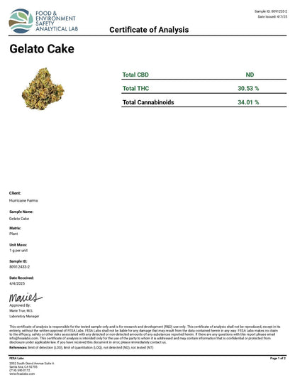 Gelato Cake