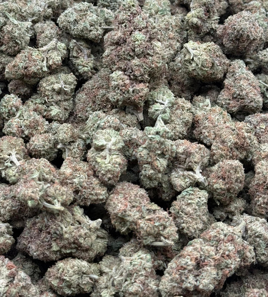 Gelato Ice