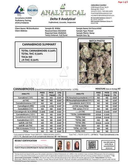 Girl Scout #342 | QP