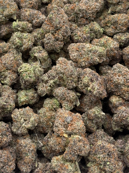 Gobstopper #278 | QP