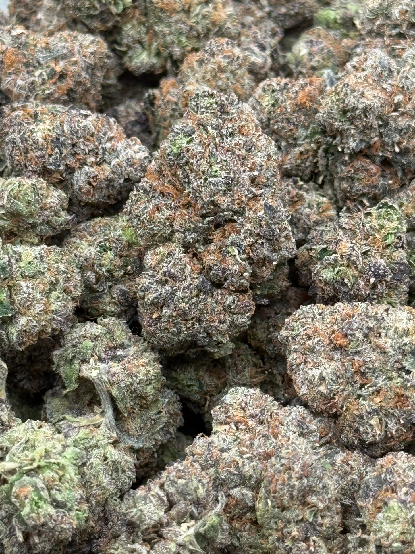 Gobstopper #278 | QP