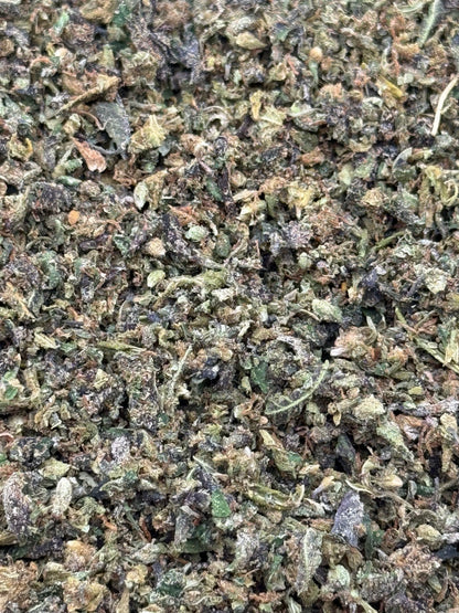 Gods Gift #286 Shake