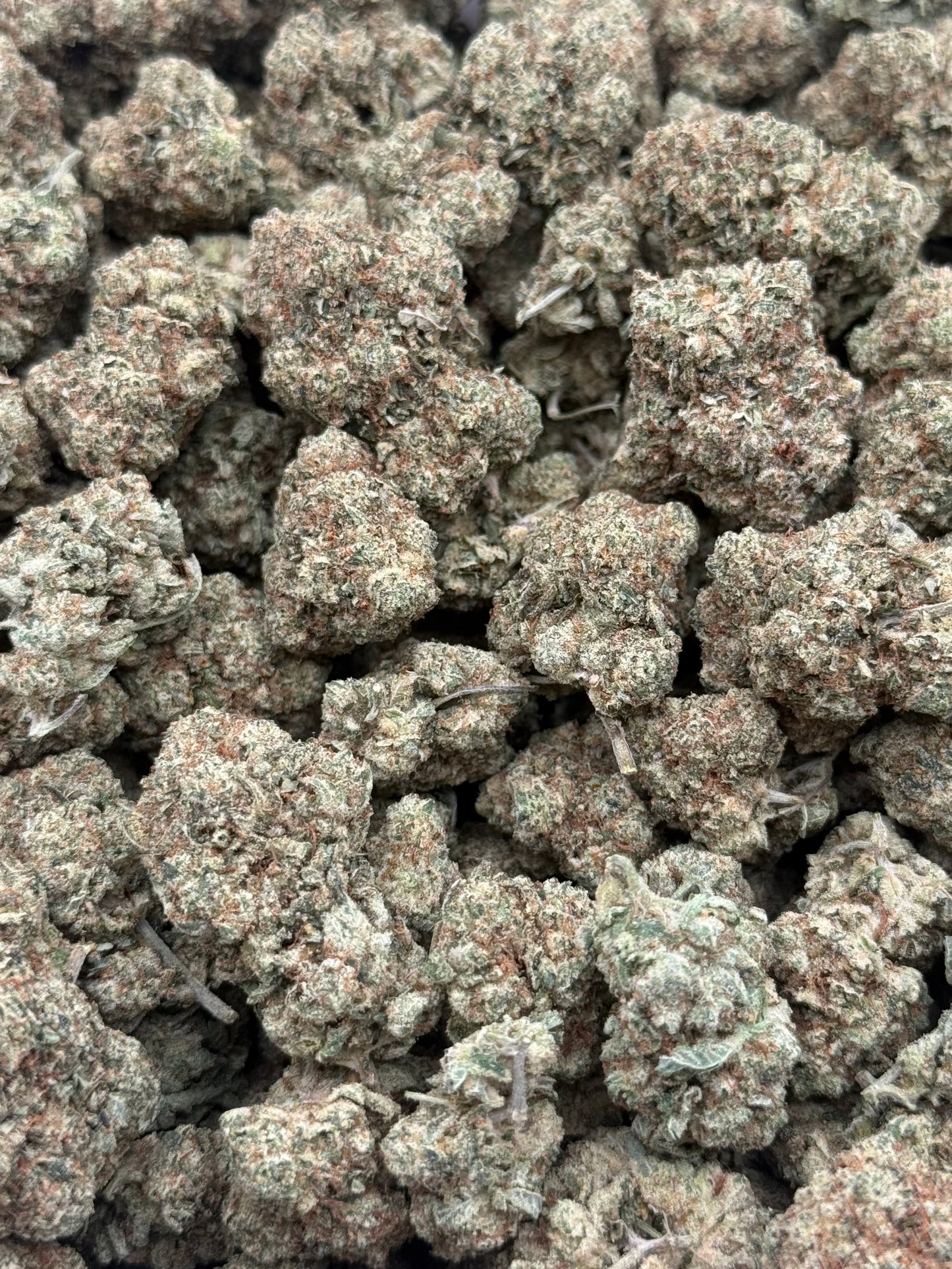 Gorilla Glue #351 | QP