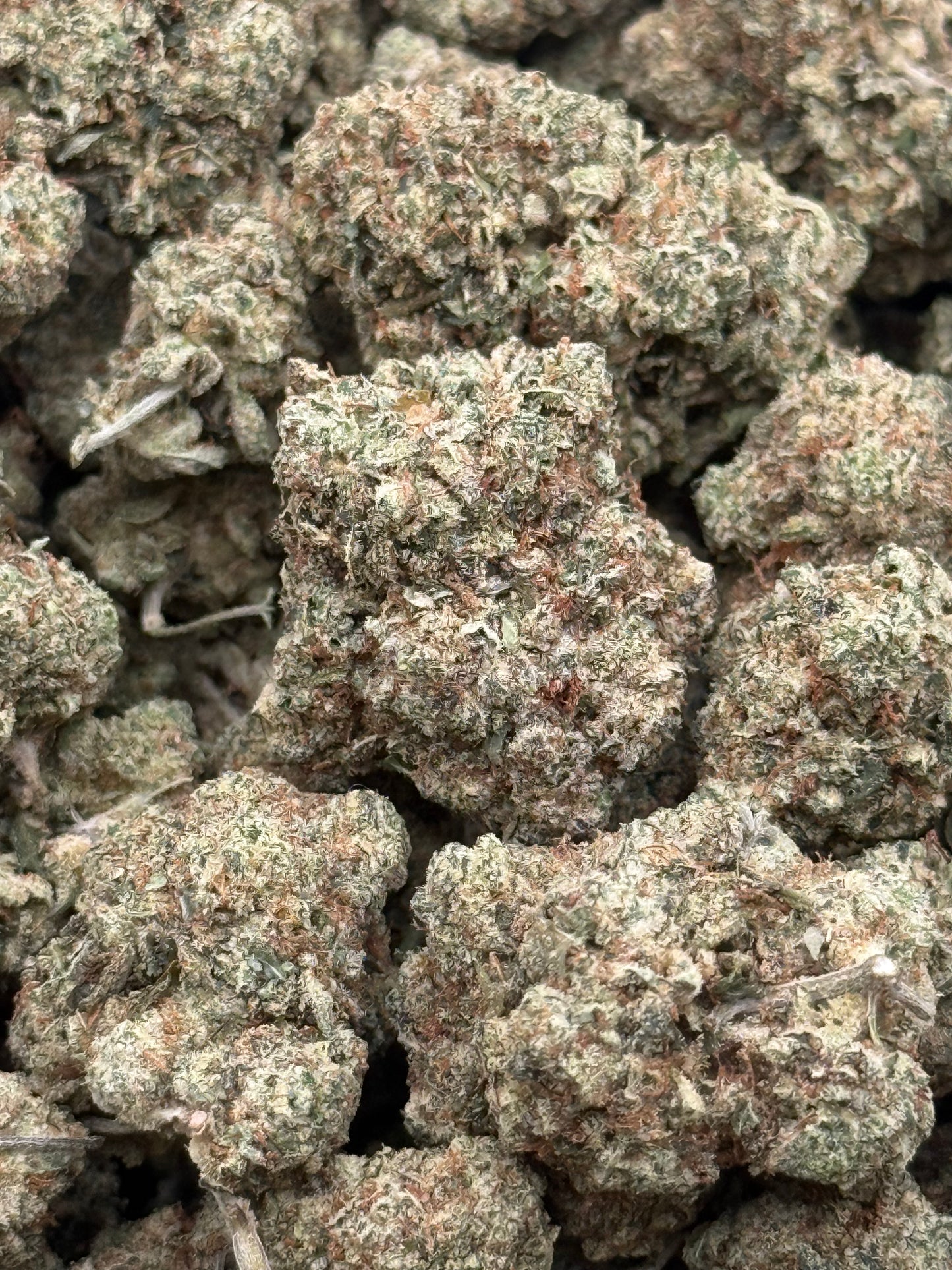 Gorilla Glue #351 | QP